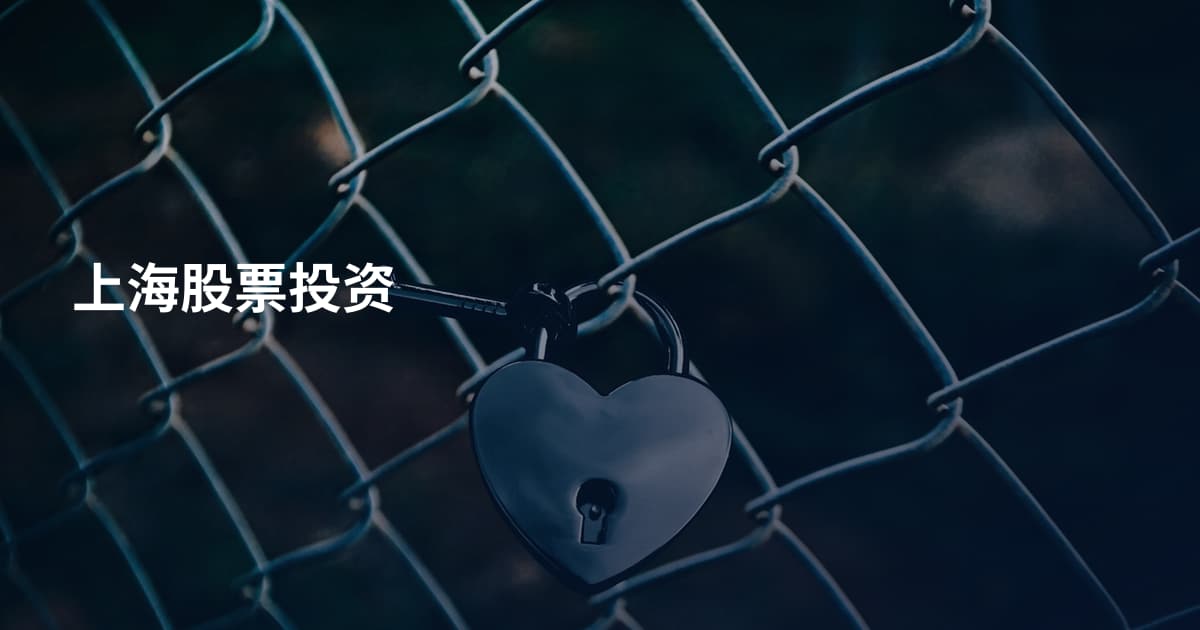 上海股票投资