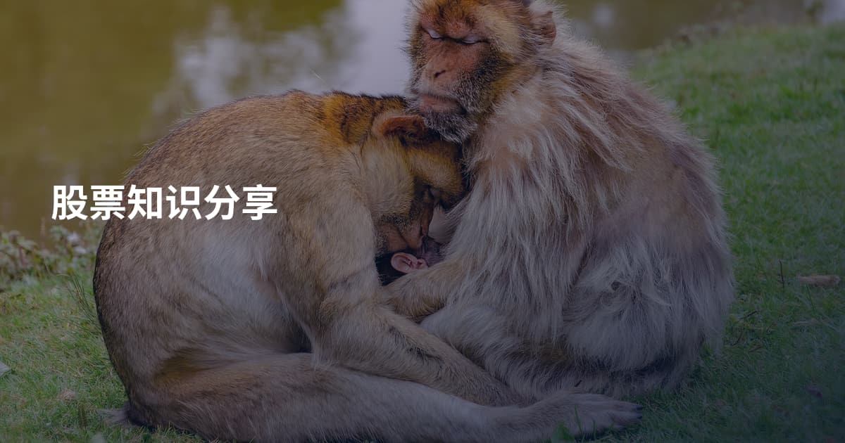 股票知识分享