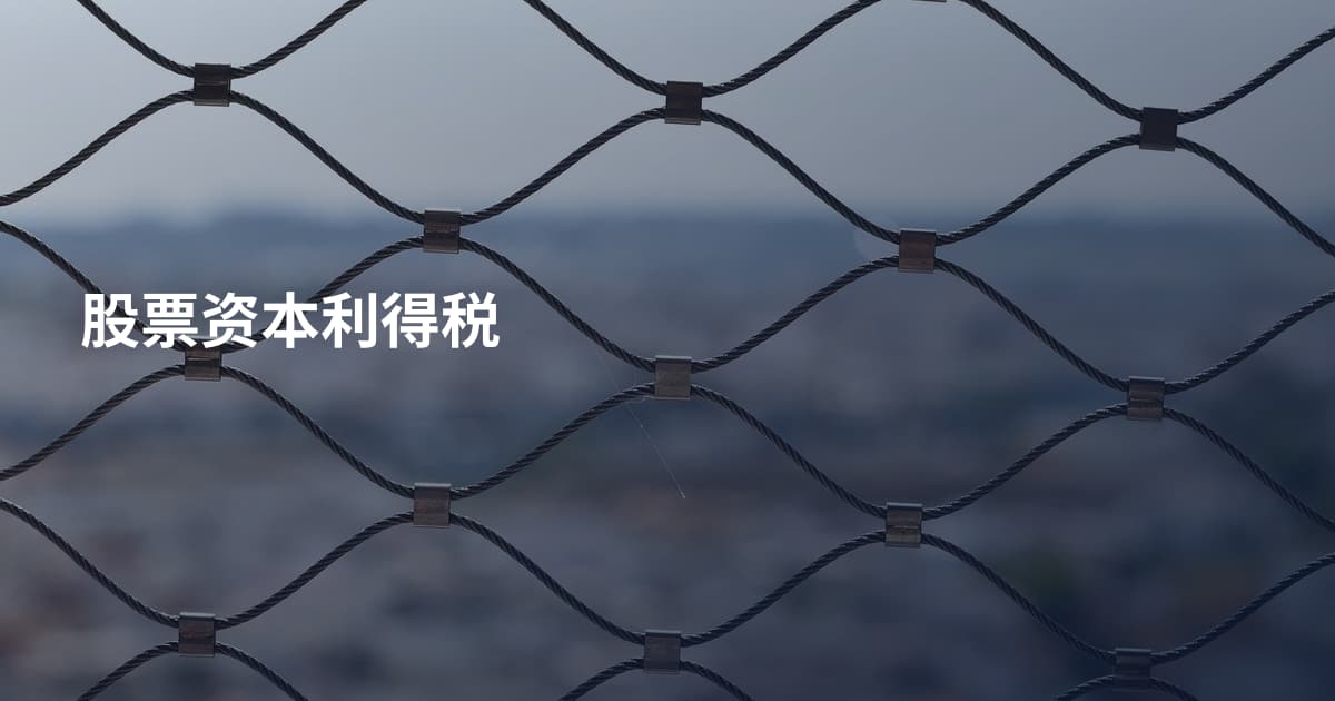 股票资本利得税