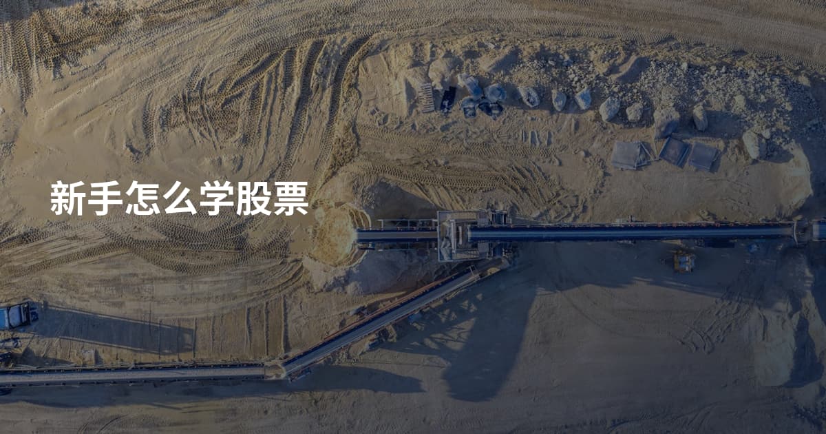 新手怎么学股票
