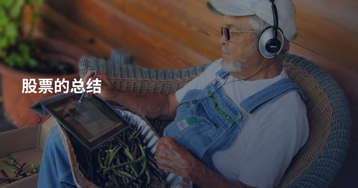 股票的总结
