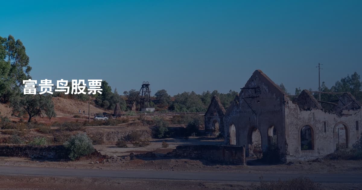 富贵鸟股票