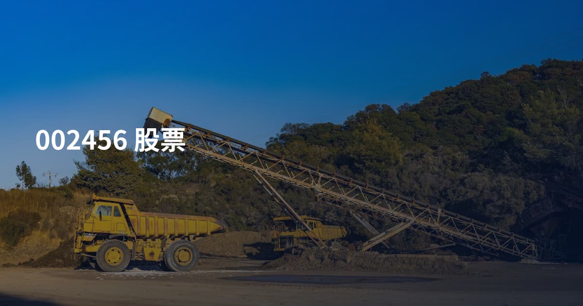 002456 股票