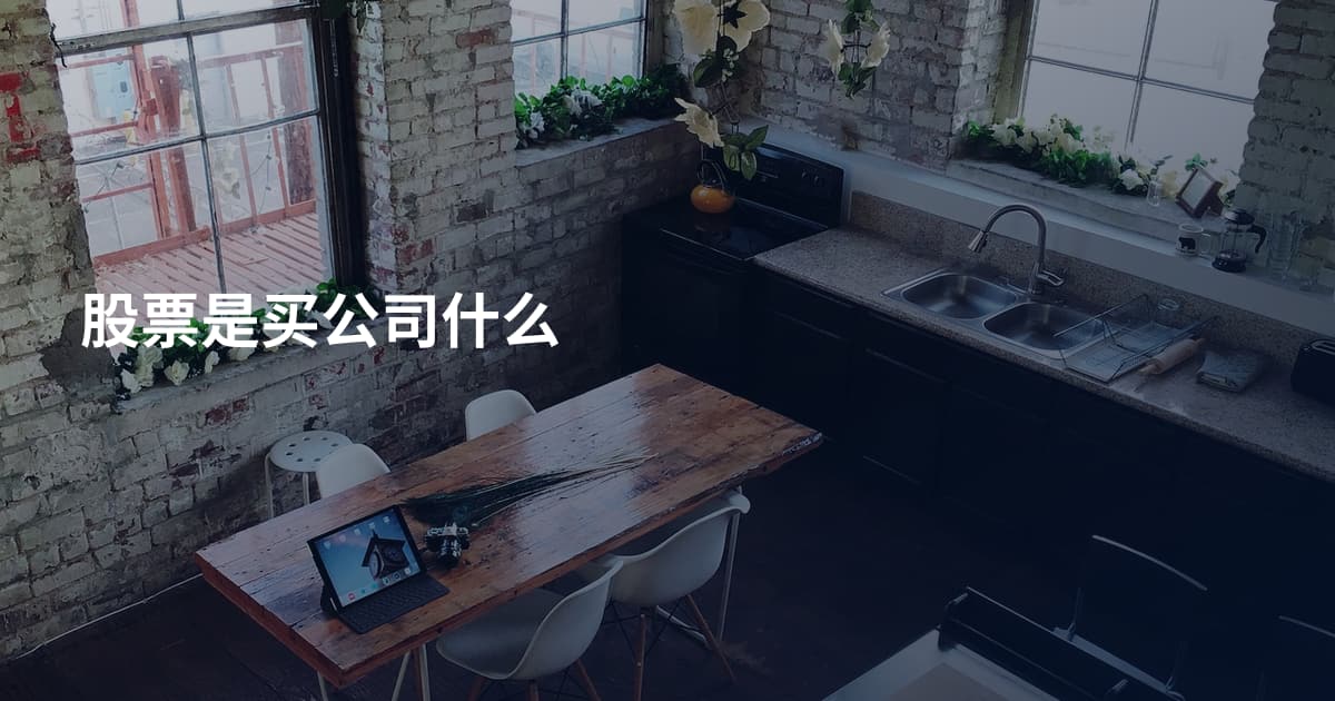 股票是买公司什么