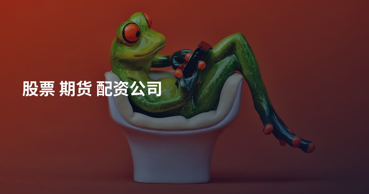 股票 期货 配资公司