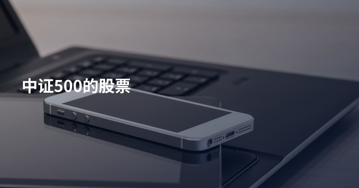 中证500的股票