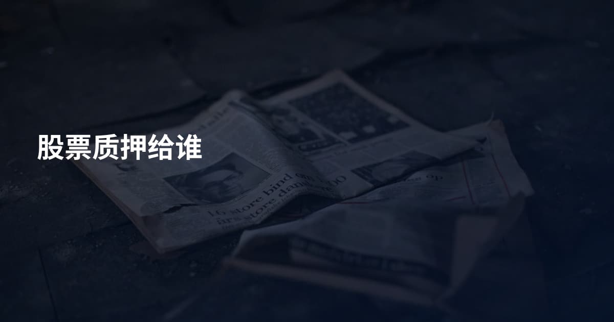 股票质押给谁