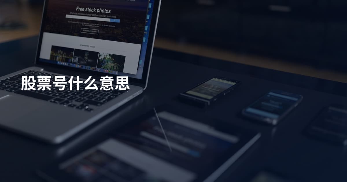 股票号什么意思