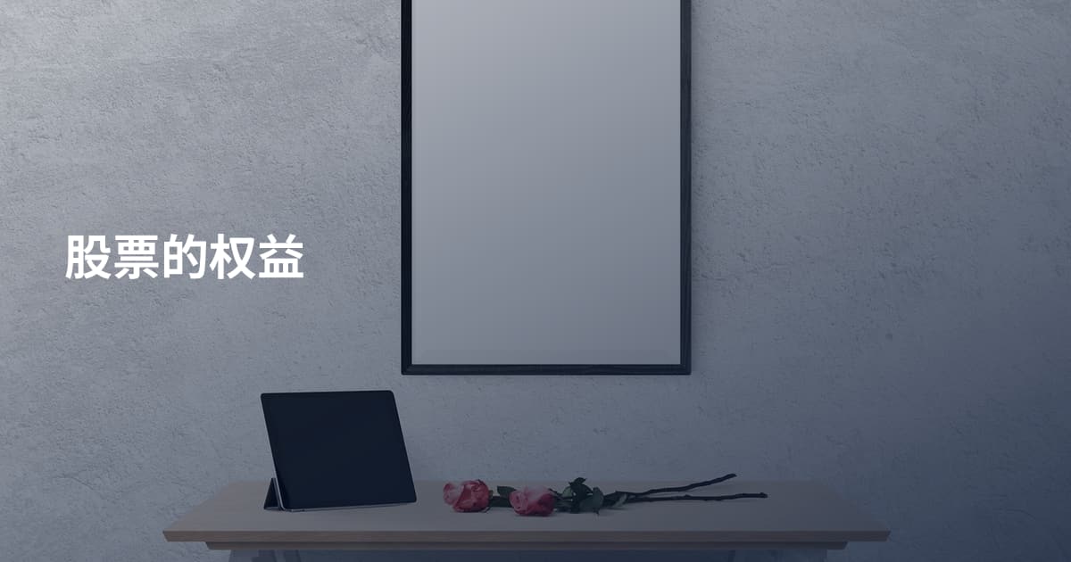 股票的权益