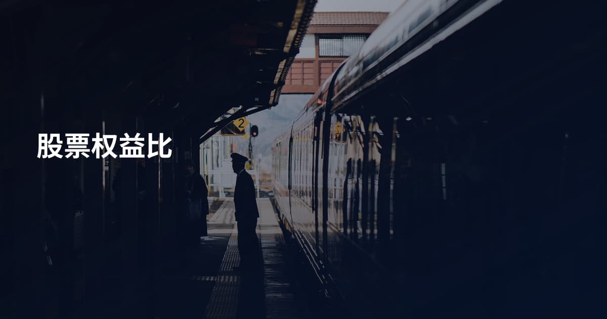 股票权益比