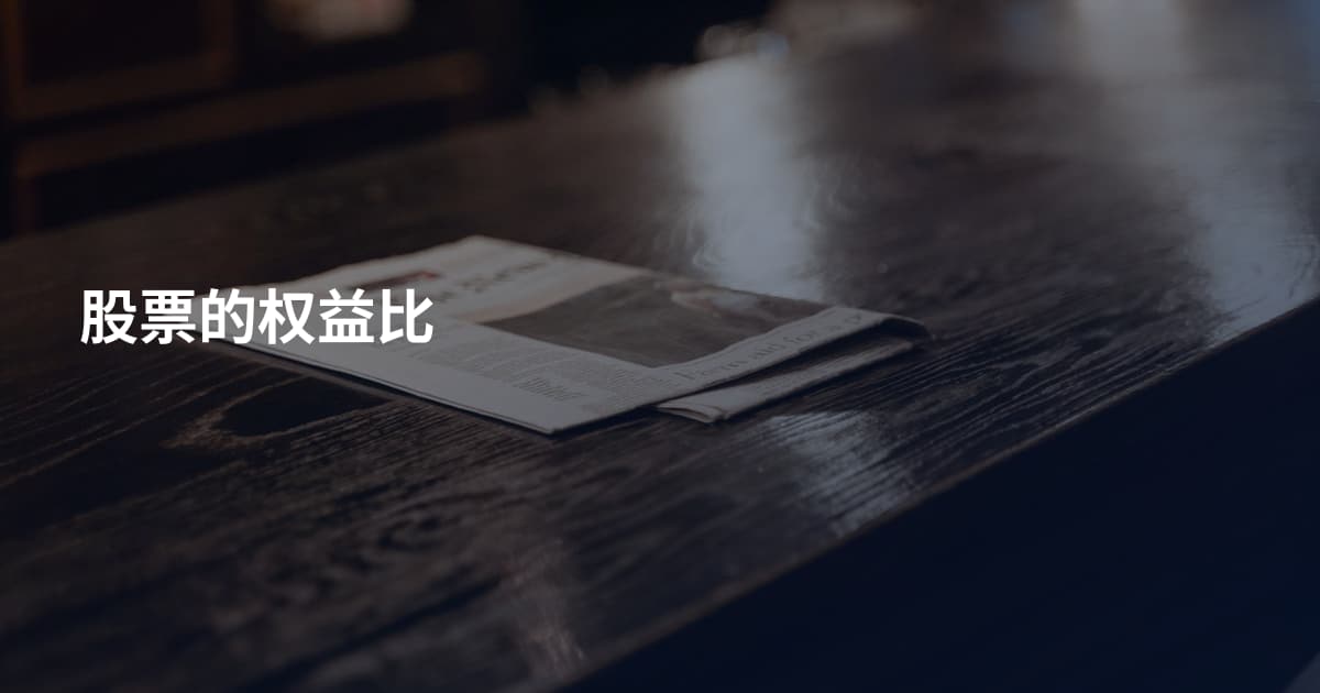 股票的权益比