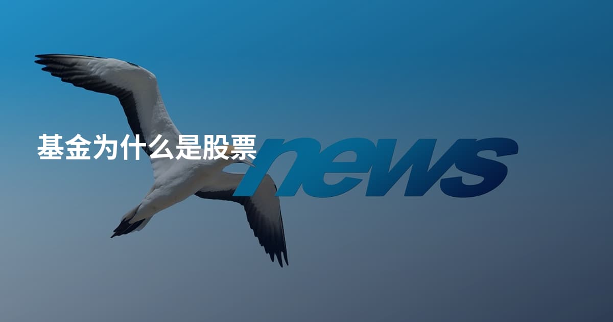 基金为什么是股票