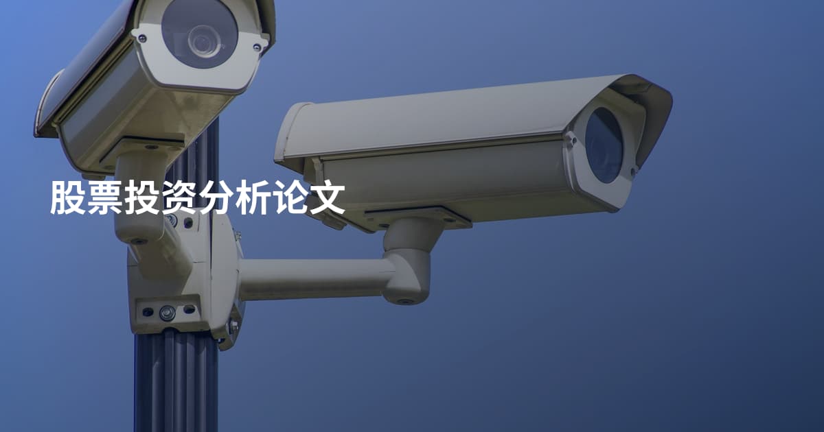 股票投资分析论文
