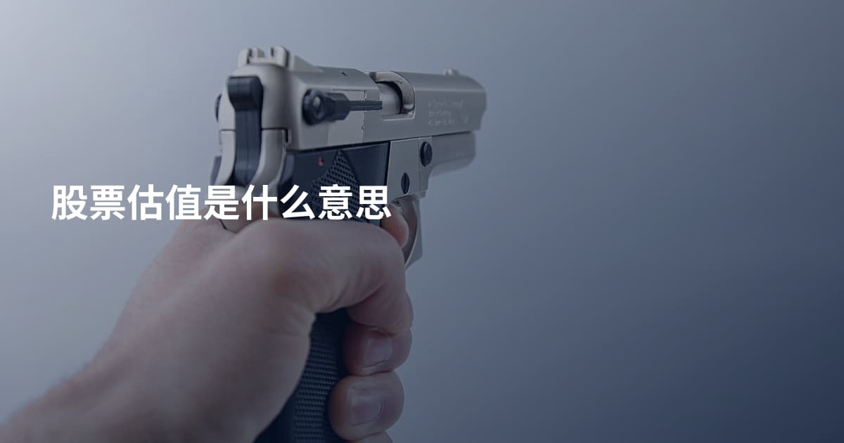股票估值是什么意思