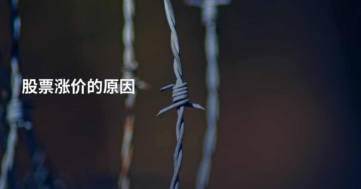 股票涨价的原因
