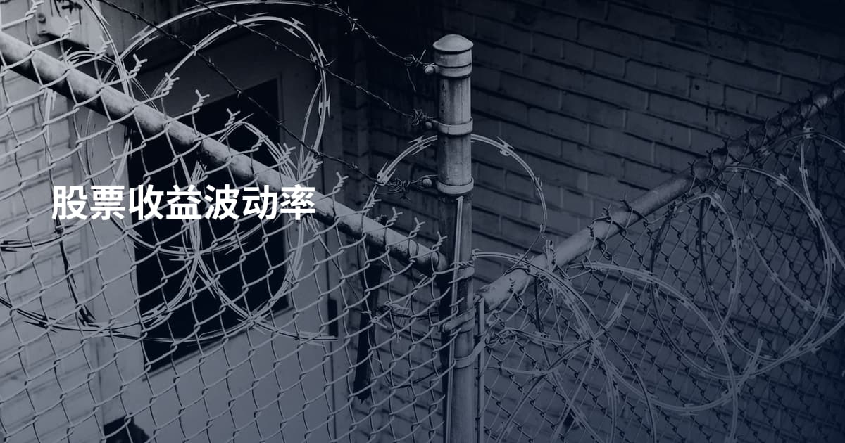 股票收益波动率