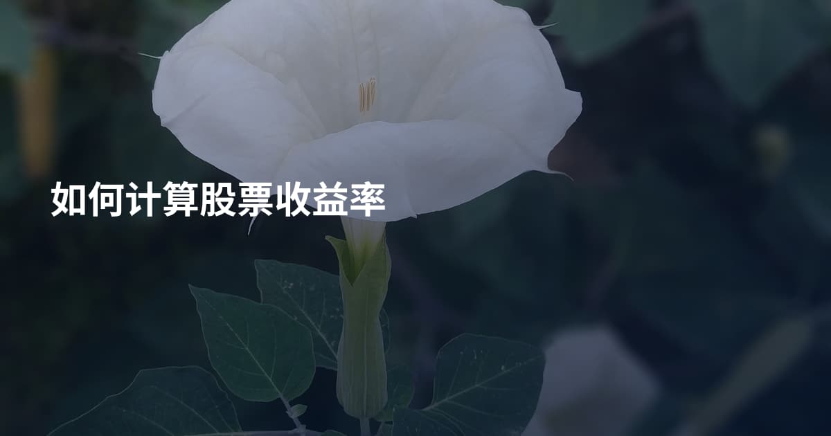 如何计算股票收益率