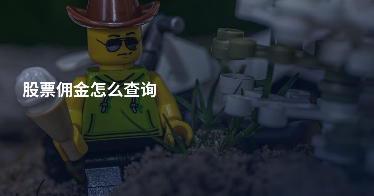 股票佣金怎么查询