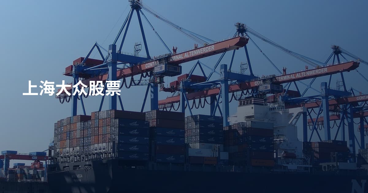 上海大众股票