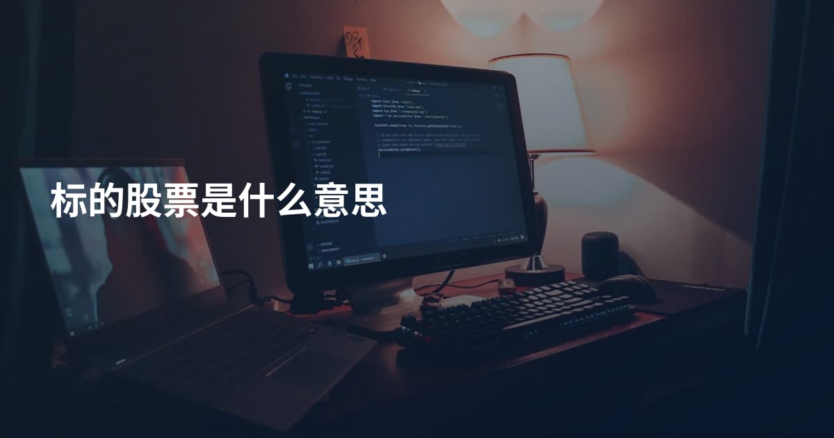 标的股票是什么意思