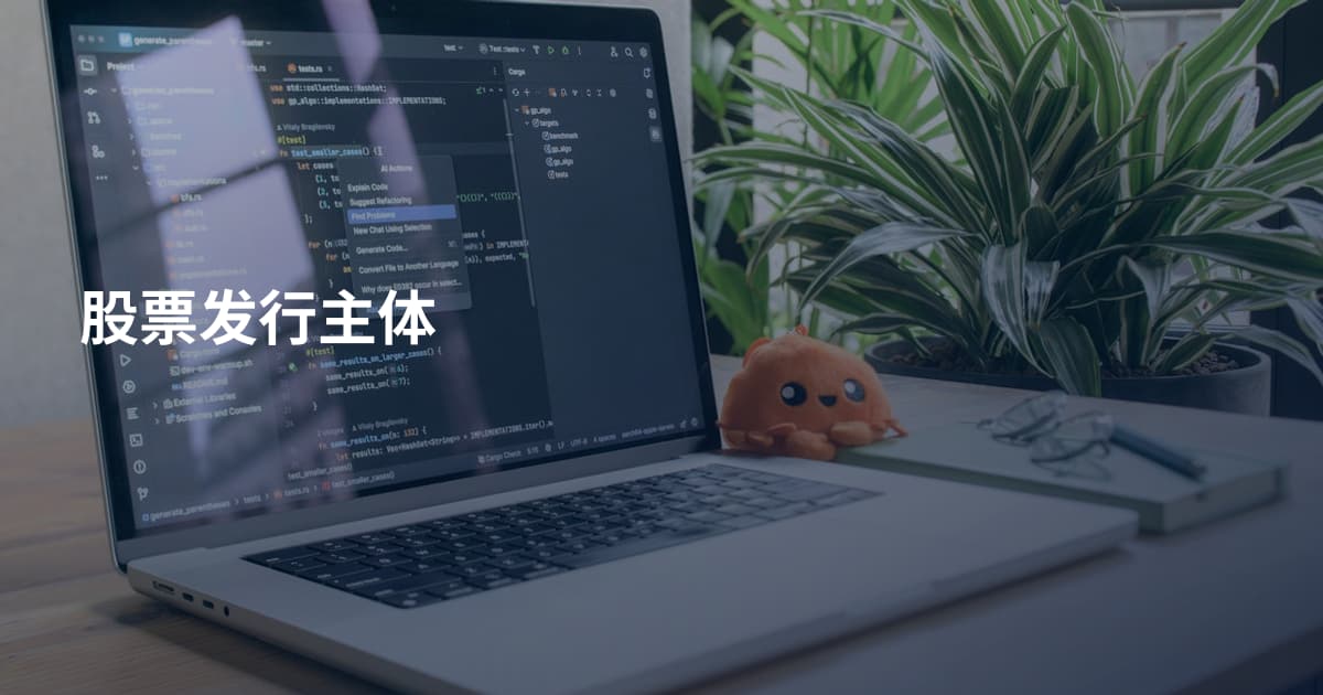 股票发行主体