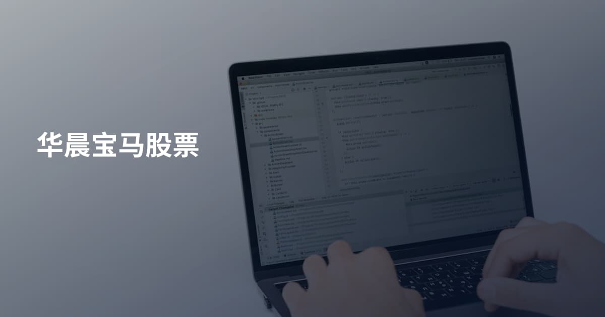 华晨宝马股票