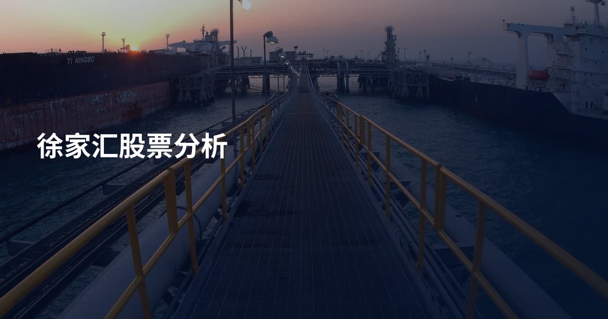 徐家汇股票分析