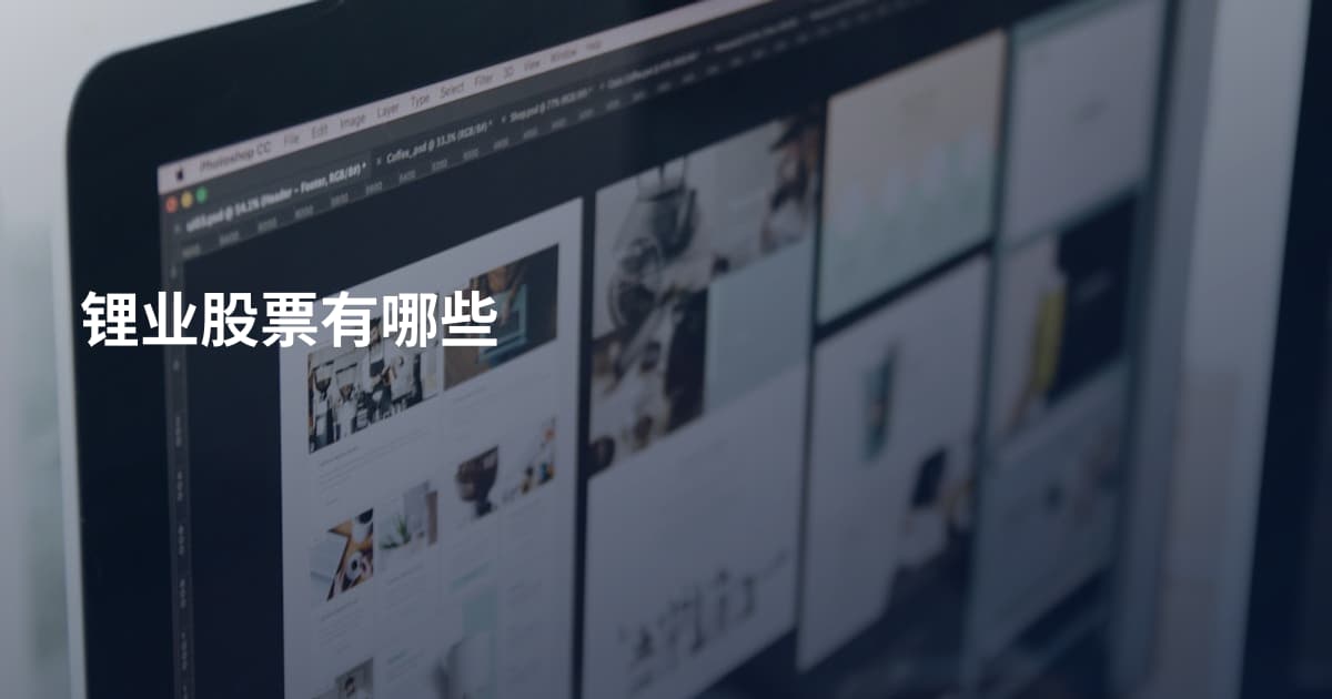 锂业股票有哪些
