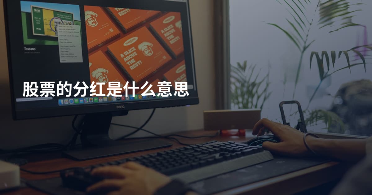 股票的分红是什么意思