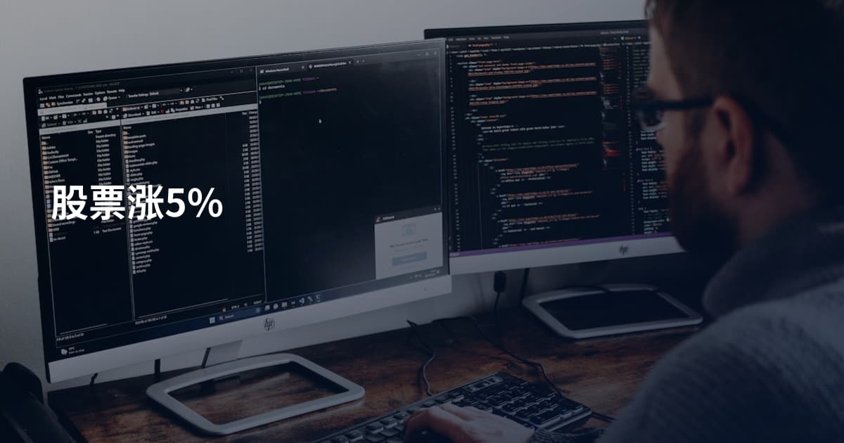 股票涨5%