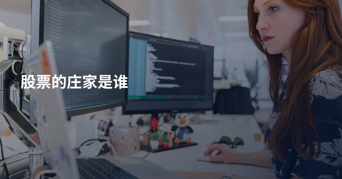 股票的庄家是谁
