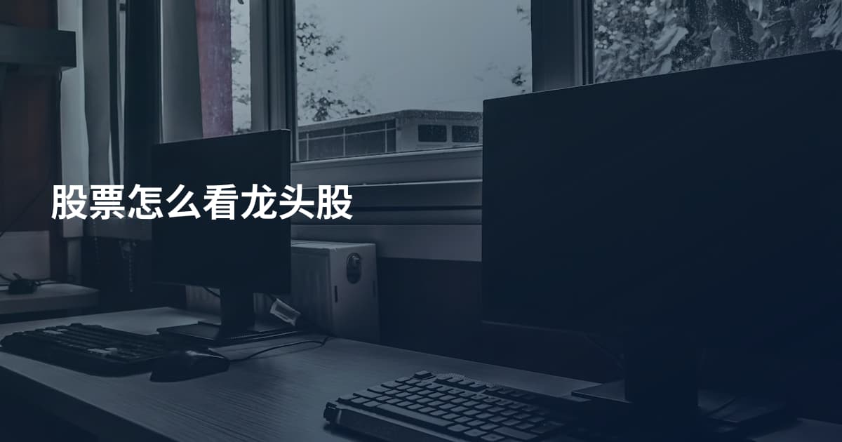 股票怎么看龙头股