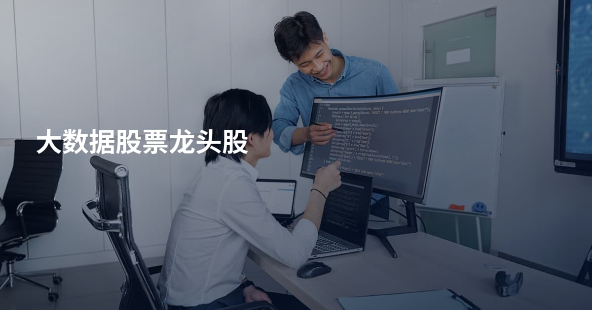 大数据股票龙头股