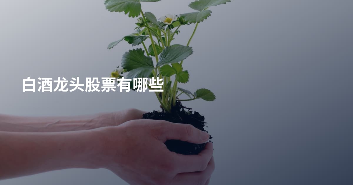 白酒龙头股票有哪些