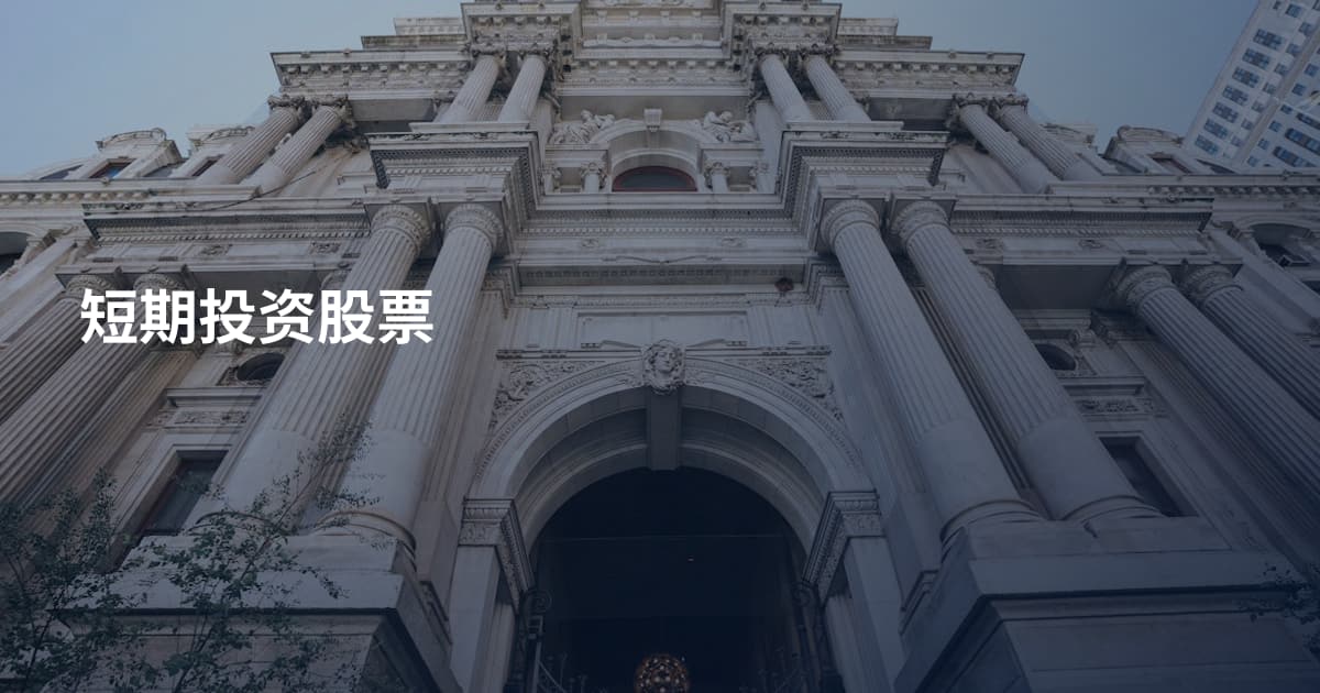 短期投资股票