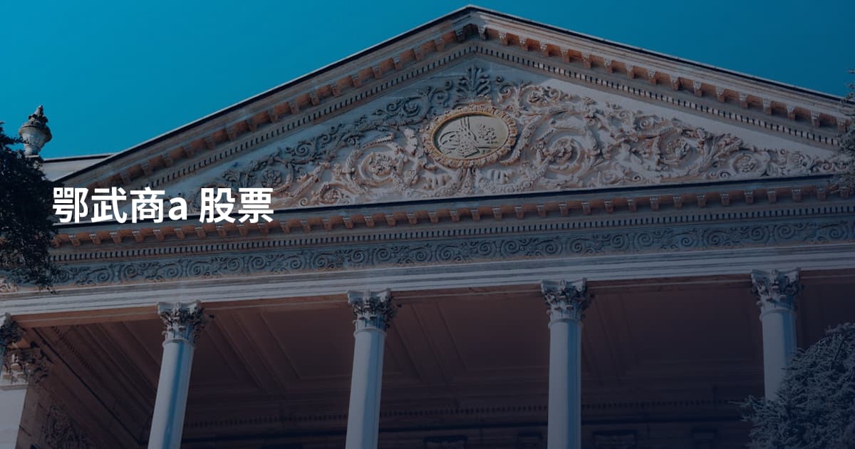 鄂武商a 股票