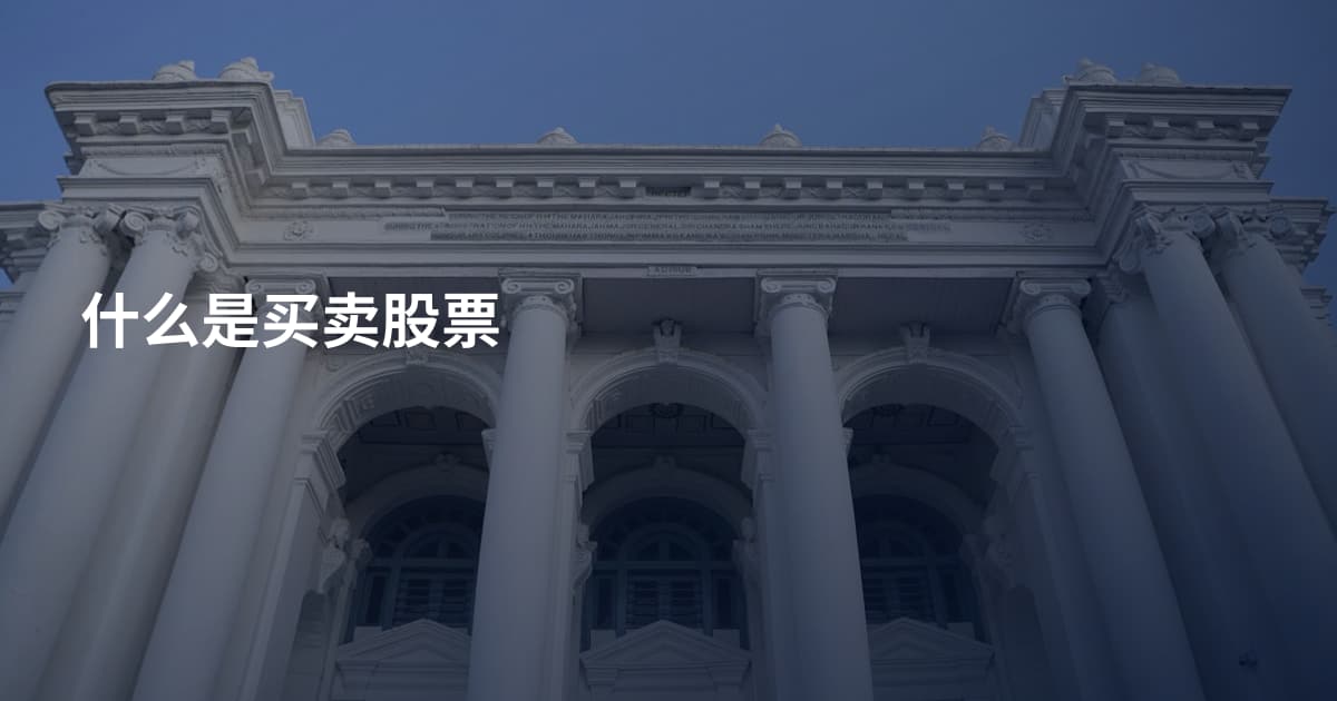 什么是买卖股票