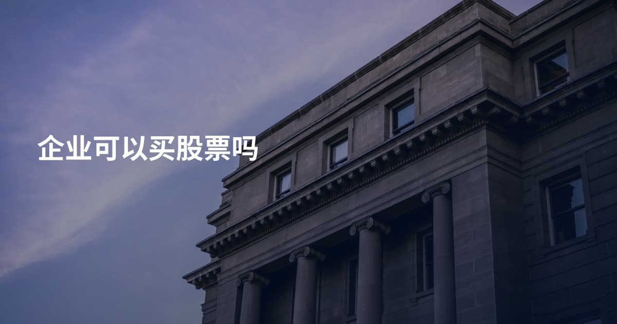 企业可以买股票吗
