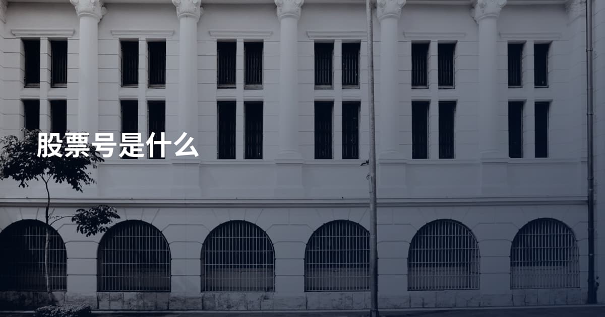 股票号是什么
