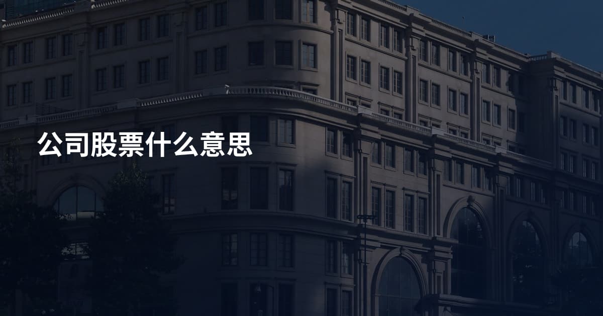 公司股票什么意思