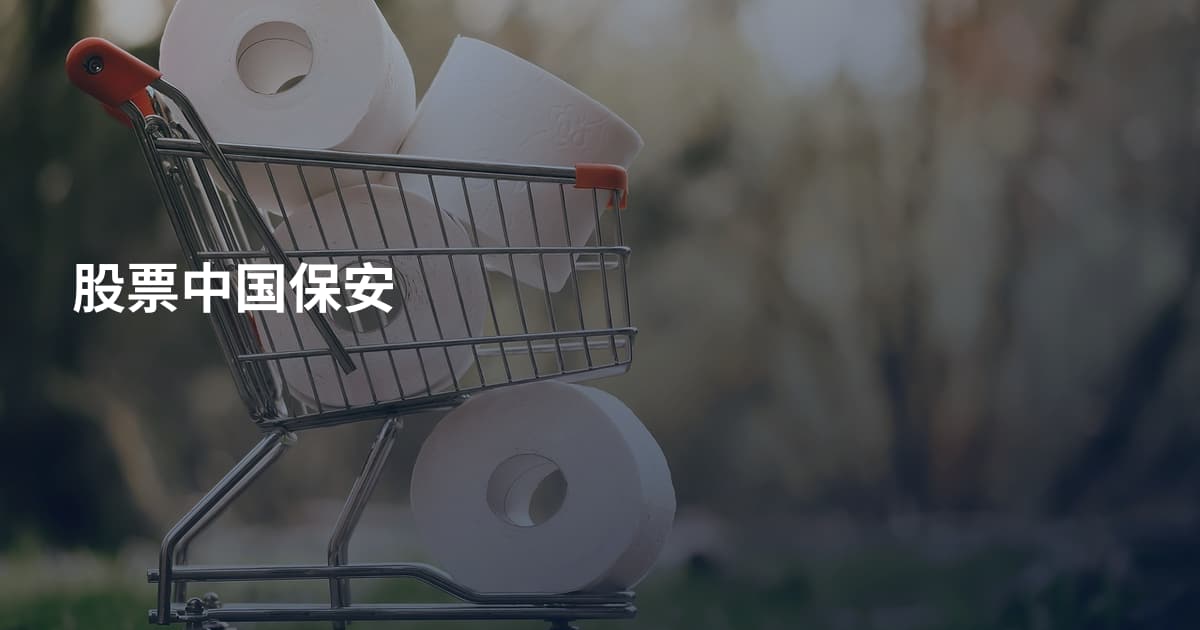 股票中国保安