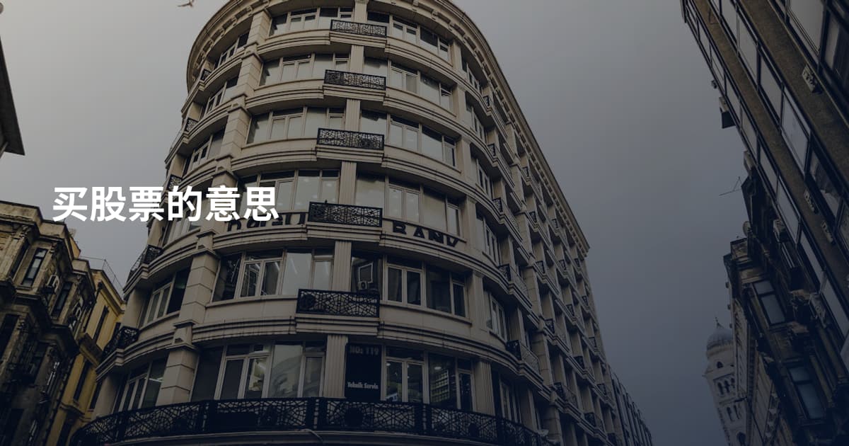 买股票的意思