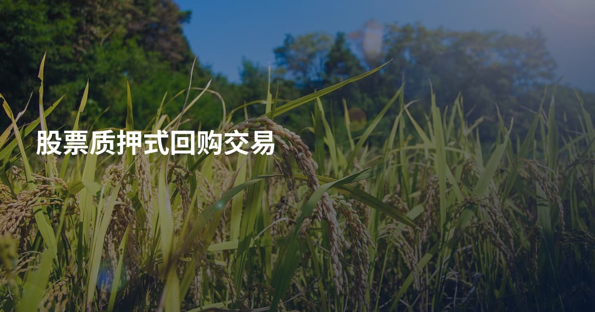 股票质押式回购交易