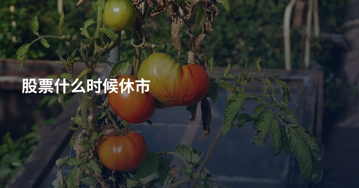 股票什么时候休市