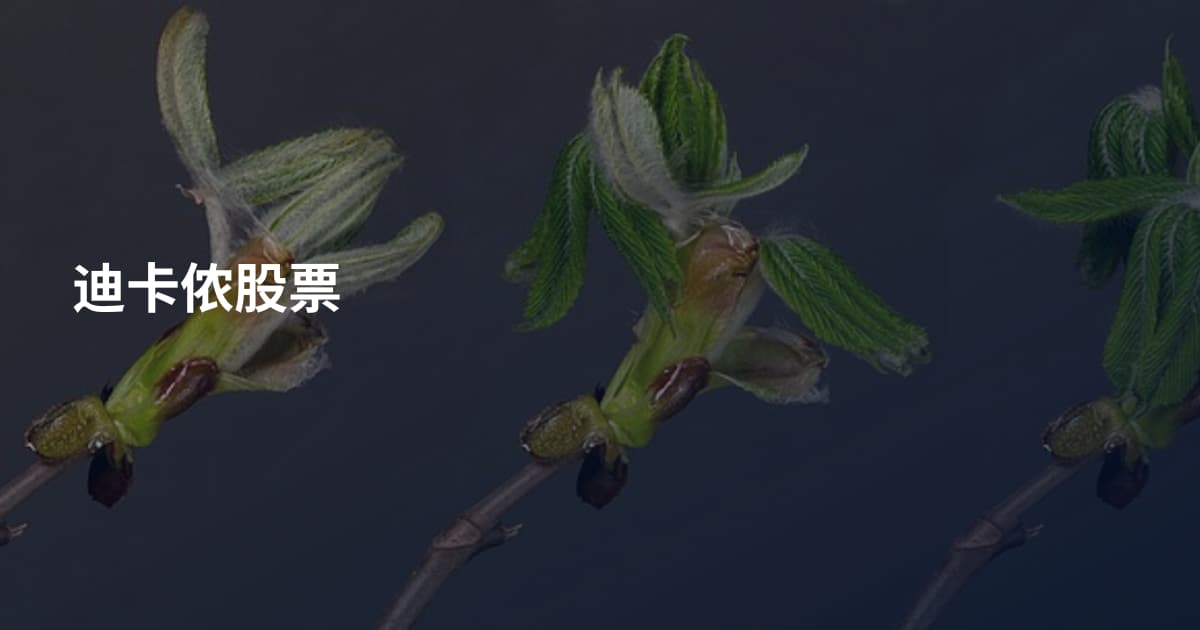 迪卡侬股票