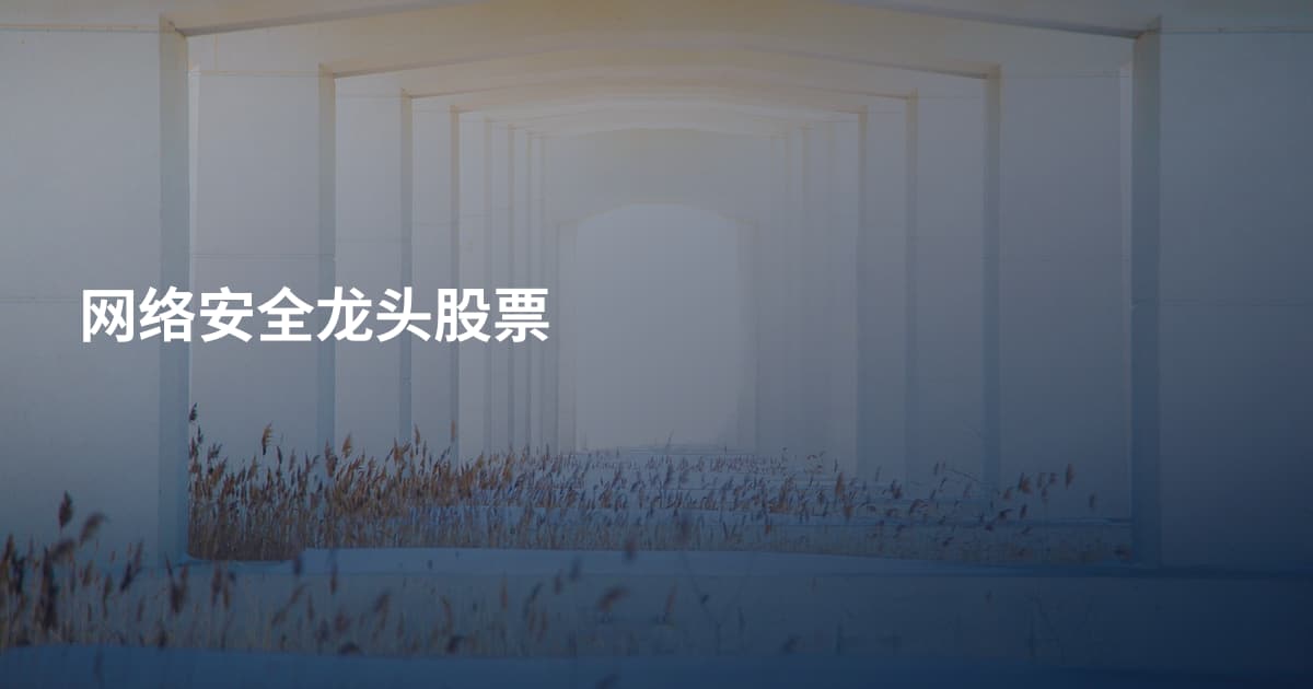 网络安全龙头股票