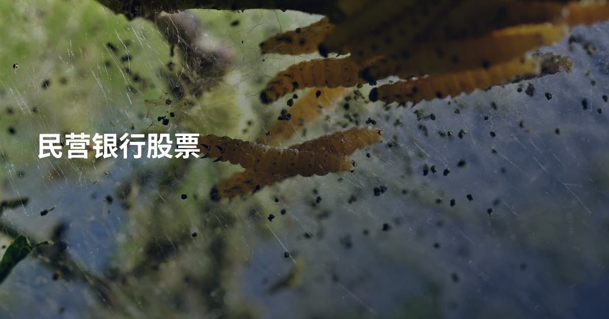 民营银行股票
