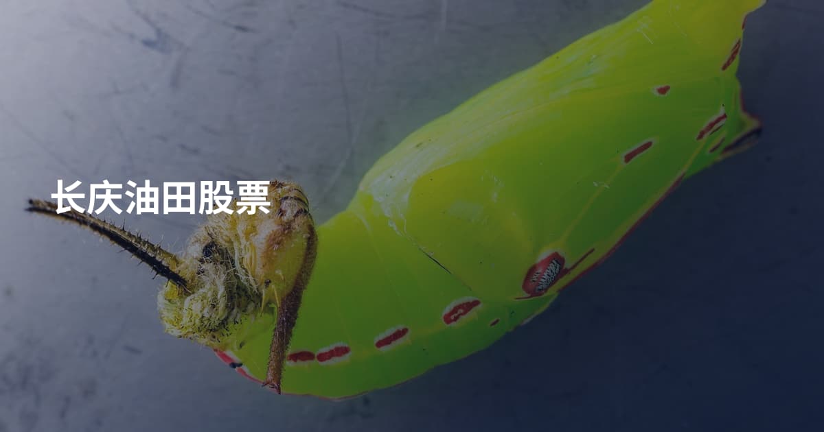 长庆油田股票