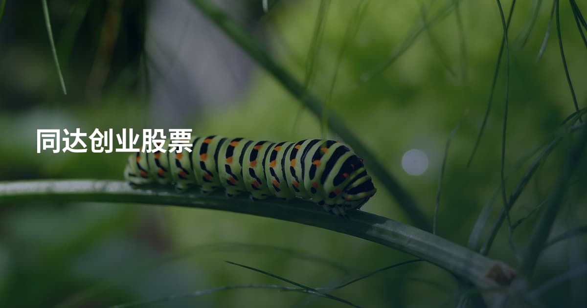 同达创业股票