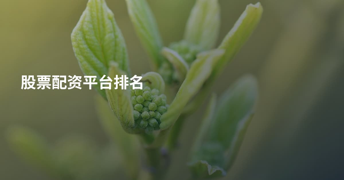 股票配资平台排名
